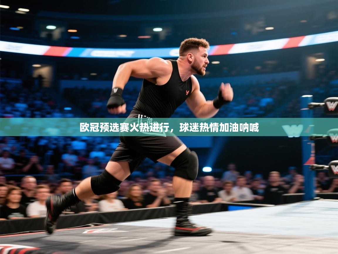 欧冠预选赛火热进行，球迷热情加油呐喊  第1张