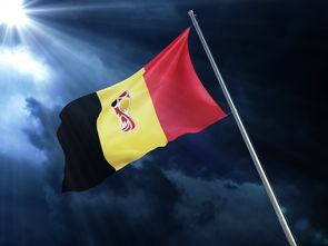 米乐m6官网入口登录-建业对阵绿城，实力悬殊分出胜负备战动态